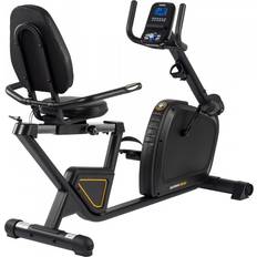 Darwin Recumbent Bike RB40