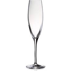 Arcoroc Champagneglas Arcoroc Penelope 17 Champagneglas