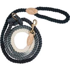 Companion Hundar - Hundhalsband & Selar Husdjur Companion flerfärgat koppel Ø1,5