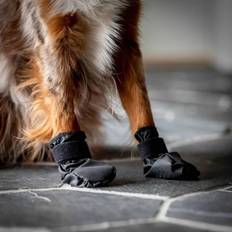 Back On Track Hundfoder Husdjur Back On Track Koda Hundsocka S