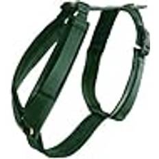 Pets Aucune Dogwear Hundegeschirr Aktiv Velvet Samt Dark Green