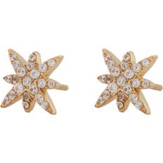 Edblad polaris Edblad Polaris Studs Gold