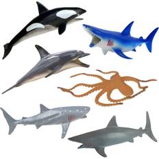 Sea Animals 40242