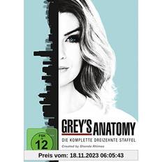 Grey's Anatomy Staffel 13