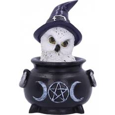 Owl's Brew Hexeneule Geschenkartikel kaufen