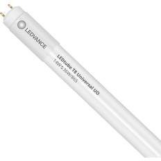 LEDVANCE Tube T8 Performance UN Standard Output 14W 2100lm 865 120cm Replacer for 36W