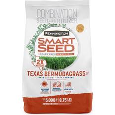 Grass Seeds Pennington Smart Seed Texas Bermuda Sun Grass Seed