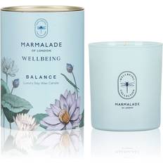 Cedar Scented Candles Balance 230g Wellbeing Scented Candle