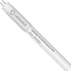 Dagslys - Rør LED-pærer LEDVANCE Lysrør T5 Performance HF High Output 26W 4000lm 865 dagslys 145cm erstatter 49W