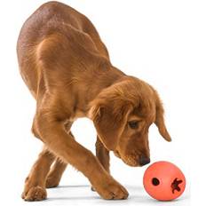 Husdjur West Paw Echo Rumbl Small Orange