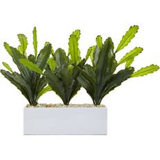 Nearly Natural Cactus on Rectangular Planter