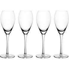 Mareld Køkkentilbehør Mareld 16 Clear Champagneglas 4stk