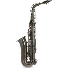 La Enregistreurs Roy Benson AS-202A Saxophones Alto