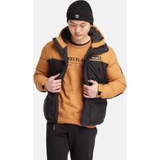 Timberland Herren Oberbekleidung Timberland Outdoor Archive Steppjacke Für Herren In Dunkelgelb Gelb, Größe Gelb