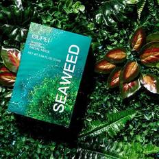 Organic Facial Masks Seaweed face mask sheet pack facial mask