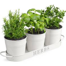 Barnyard Designs Farmhouse Herb Garden Planter Planter