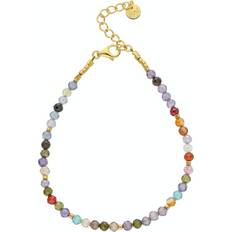 Guldbelagt - Multifarvet Armbånd Nuni Copenhagen Big Kate Armbånd Light Multi