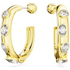 Swarovski Kvinnors Hoop Örhängen - Vitguld Dextera