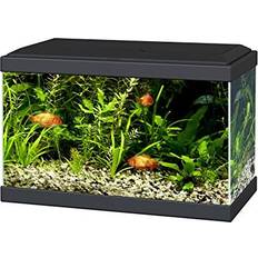 Ciano aqua 20 aquarium with tank