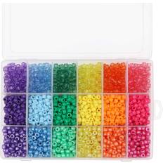 Rainbow Tassel Beads with Storage Box 2300pcs