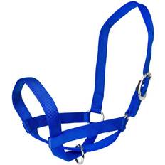 Blue Horse Halters Gatsby Gatsby Nylon Cattle Halter Blue