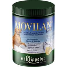 Kæledyr St. Hippolyt Movilan DOG 1