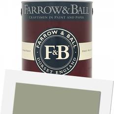 Farrow & Ball Lichen 19 Wall Paint, Ceiling Paint Green