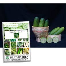 Flower Seeds itouchless Boston Pickling Cucumber Seeds for Planting 100+ Heirloom