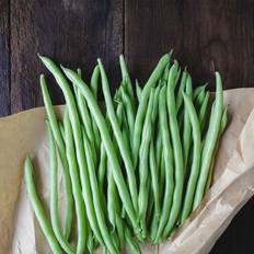 Seeds Mountain Valley Seed Company Lake Bush Bean