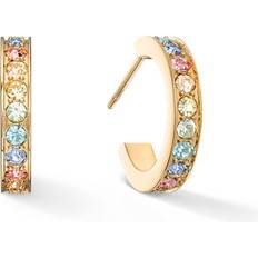 Stainless Steel Earrings Coeur de Lion Crystal Gold Earrings With Stick