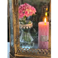 La Vida La Vida, Hyacint Vase