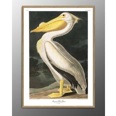 The Dybdahl Co Brugskunst The Dybdahl Co The Dybdahl Co American White Pelican. Print #6504 Plakat