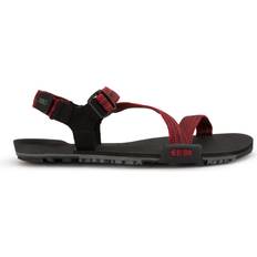 Men - Red Sport Sandals Xero Shoes Z-Trail EV Red Men's Shoes Red