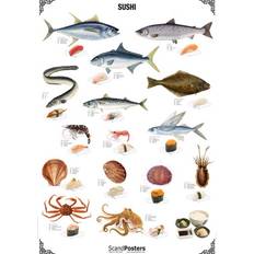 Plakat Sushi UDEN