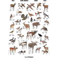 ScandPosters Vildt Plakat