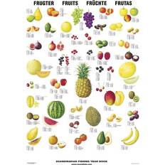 Frukt Plansch UTAN