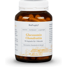 Glucosamin Chondroitin