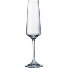 Billig Champagneglass Bohemia Corvus Champagneglass