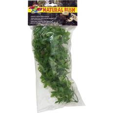 Zoo Med Congo Ivy Reptile Plant