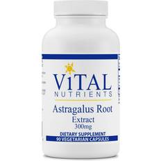 Astragalus Root Extract 600 mg - 90 Capsules