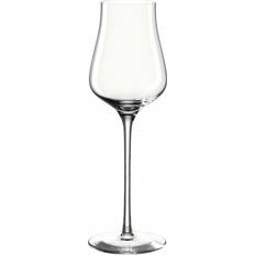 Brune Champagneglass Leonardo Brunelli Champagneglass