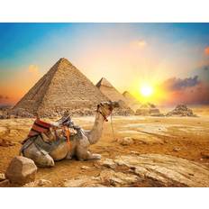 Jigsaw Puzzles Toynk Giza Sunrise Ancient Egypt Pyramid Puzzle 1000 Piece Jigsaw Puzzle