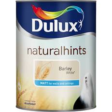 Paint B&Q Skip19B Dulux Rich Matt Barley Wall Paint White