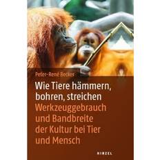 Wie Tiere hämmern, bohren, streichen