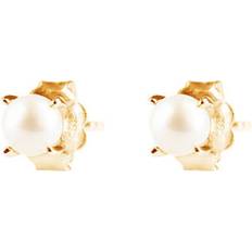 Drakenberg Sjölin Smycken Drakenberg Sjölin Petite Pearl örhänge guld