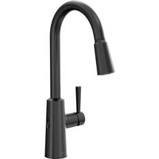 Moen Riley Single Arc Matt Black