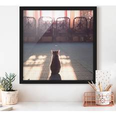 Graphic Illustration Framed Art Cat in the Glow Oak Framed Art 20x20cm