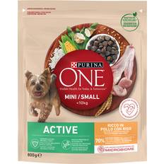 Purina ONE Hond Huisdieren Purina ONE Mini Active Kip & Rijst Hondenvoer 800g