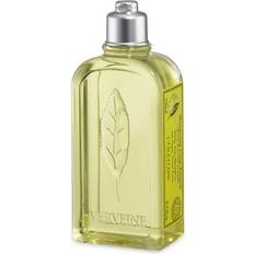 L'Occitane Shampooer L'Occitane Verbena Daily Use Shampoo 250ml