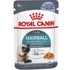 Royal Canin Katter - Kattfoder Husdjur på rea Royal Canin FCN Hairball Care Jelly